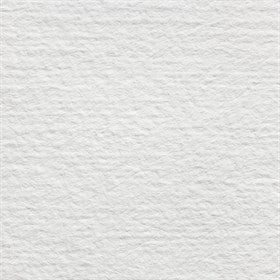 Camel Oil Colour Sheet/Single | Reliance Fine Art |Full Size SheetsSketch Pads & Papers