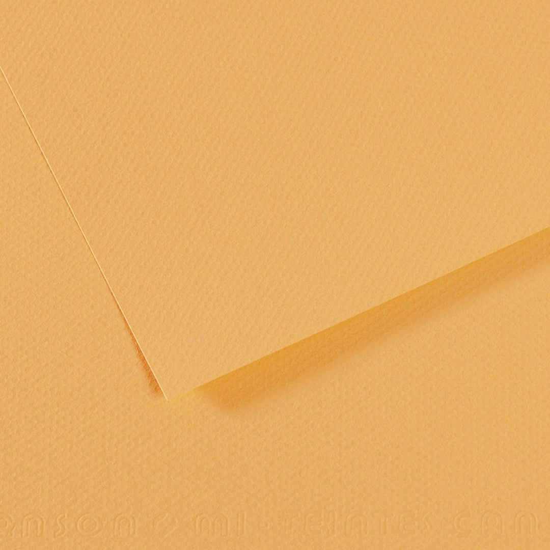 Canson Mi-Teintes Paper Champagne (470) - A4 (10 Sheets) | Reliance Fine Art |Canson Mi-Teintes A4 PacksSketch Pads & Papers