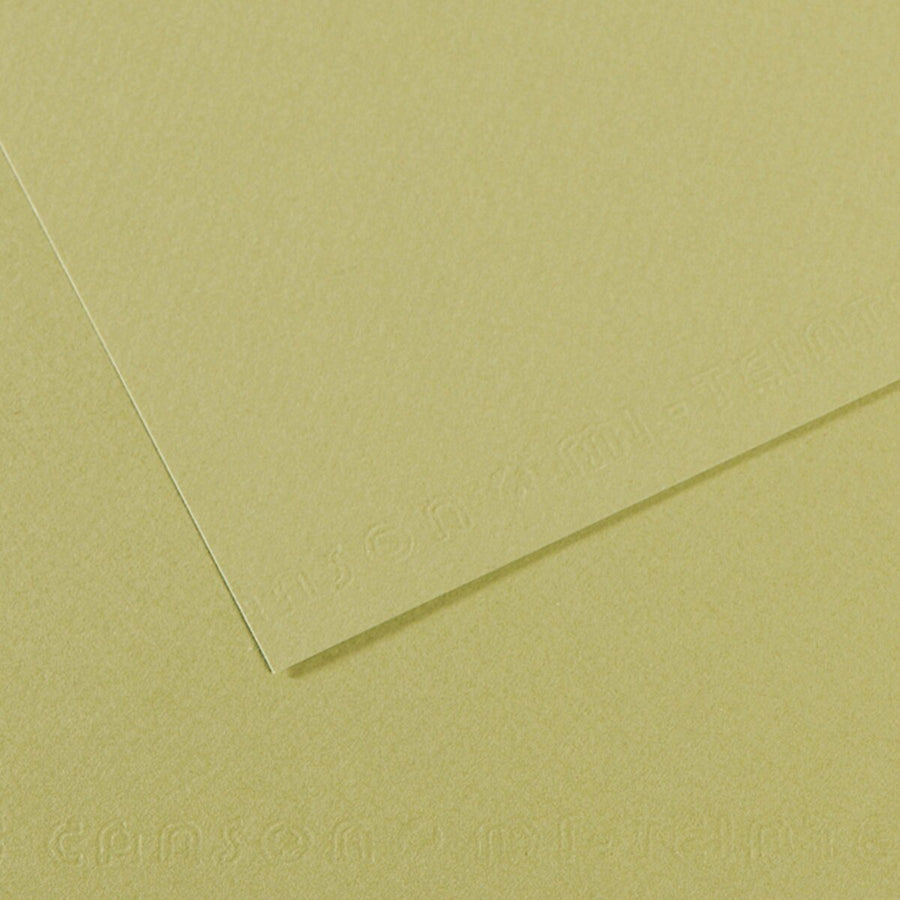 Canson Mi-Teintes Paper Light Green (480) - A4 (10 Sheets) | Reliance Fine Art |Canson Mi-Teintes A4 PacksSketch Pads & Papers
