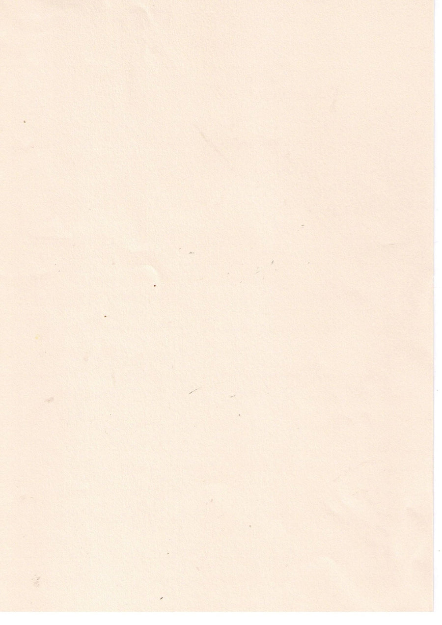 Cartridge Paper A5 25 Sheets Packing | Reliance Fine Art |A4 & A5Paper PacksPaper Packs A3