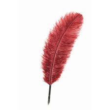 Manuscript Decorative Quil Pen N4501ST(Ostrich Feather) | Reliance Fine Art |Calligraphy & Lettering