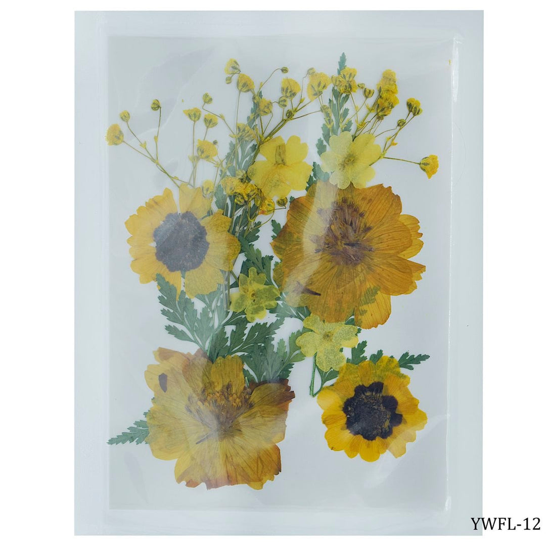 Natural Dried Flowers For Resin Art 12pcs (YWFL-12) | Reliance Fine Art |Resin and Fluid ArtTexture mediums for Resin and Fluid Art