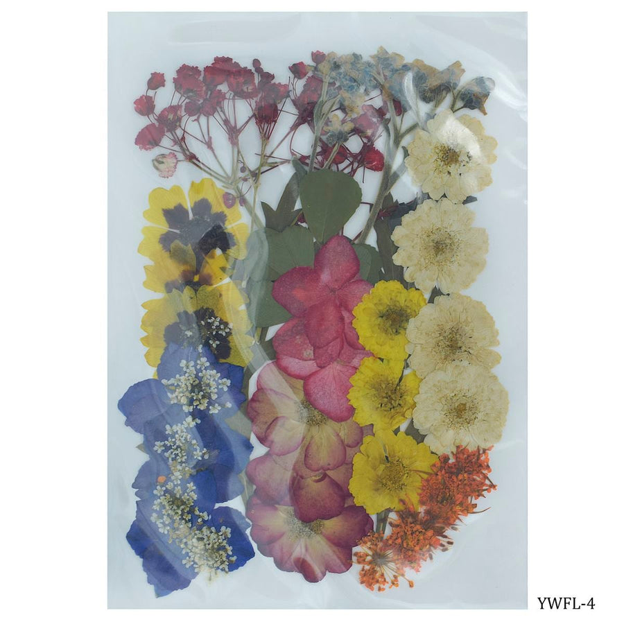 Natural Dried Flowers For Resin Art 40pcs (YWFL-4) | Reliance Fine Art |Resin and Fluid ArtTexture mediums for Resin and Fluid Art