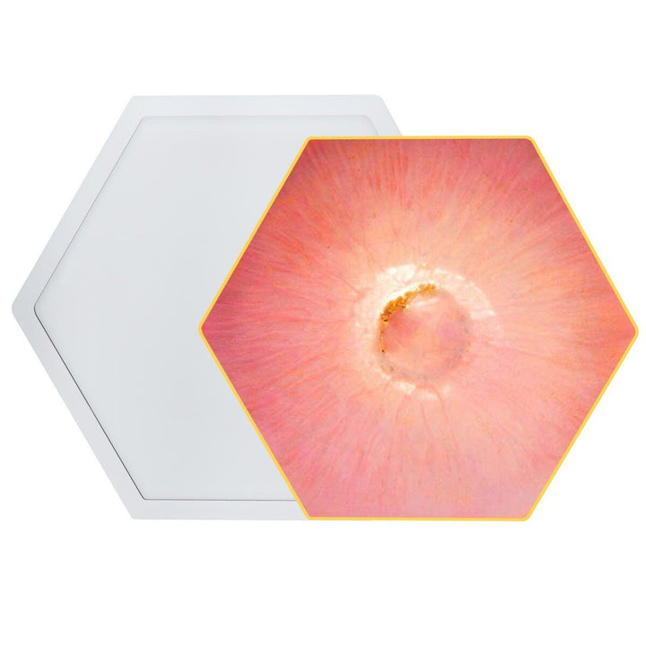 Silicone Mould Hexagon 6 Curve Coaster (SMH600) | Reliance Fine Art |Moulds & Surfaces for Resin and Fluid ArtResin and Fluid Art
