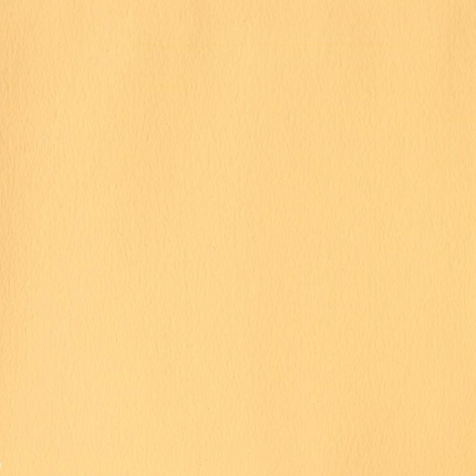 Winsor Newton Designer Gouache Naples Yellow Hue 14 ML S1 | Reliance Fine Art |Gouache PaintsWinsor & Newton Designer Gouache