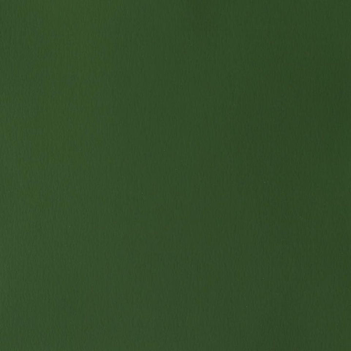 Winsor Newton Designer Gouache Oxide of Chromium 14 ML S2 | Reliance Fine Art |Gouache PaintsWinsor & Newton Designer Gouache