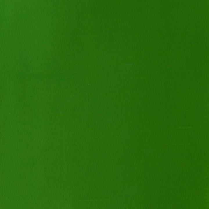 Winsor Newton Designer Gouache Sap Green 14 ML S2 | Reliance Fine Art |Gouache PaintsWinsor & Newton Designer Gouache